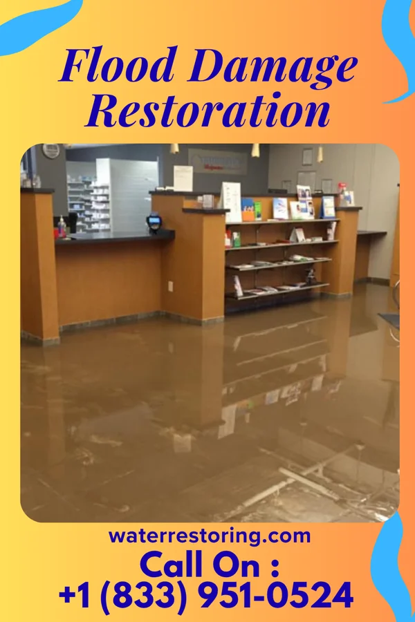 Flood Damage Restoration in Murphy, TX