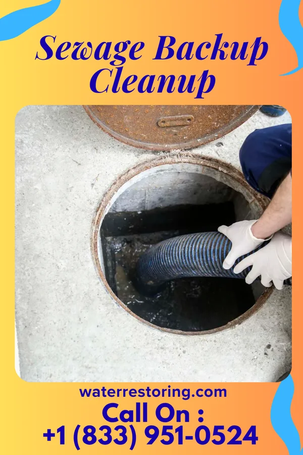 Sewage Backup Cleanup in Murphy, TX